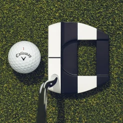 Ai-DUAL Jailbird Mini DB Putter