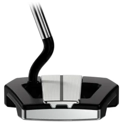 Allan Putter