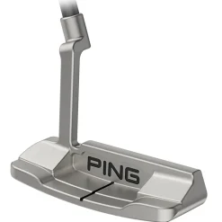 Anser D Putter
