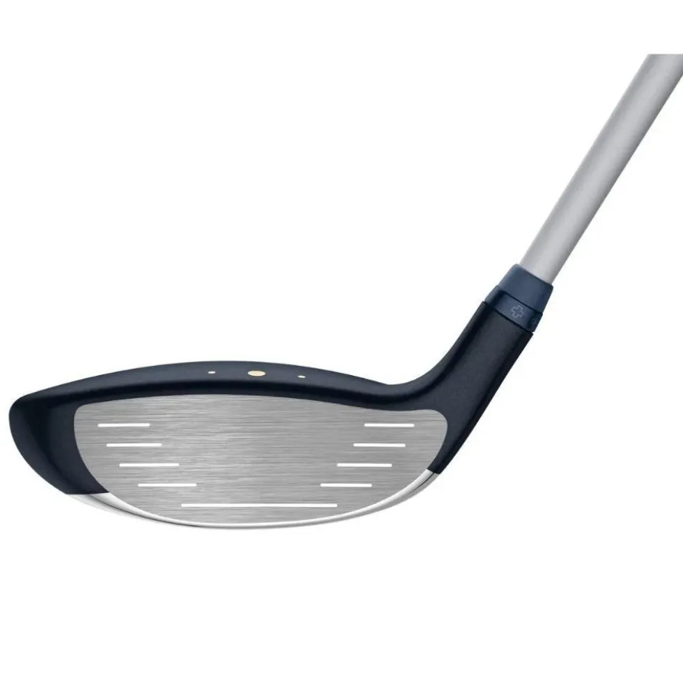 Demo | G Le3 Wood