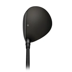 Qi4D Tour Wood