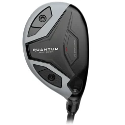 Quantum Max Fast Hybrid