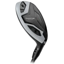 Quantum Max Fast Hybrid Dame