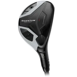 Quantum Max Fast Hybrid Dame