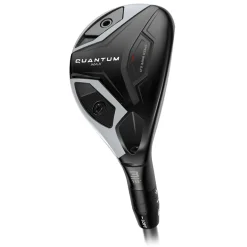 Quantum Max Hybrid Dame