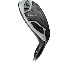 Quantum Max Hybrid Dame