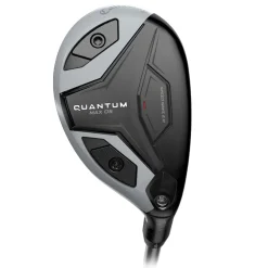Quantum Max OS Hybrid Dame