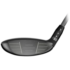 Quantum Max Wood Dame