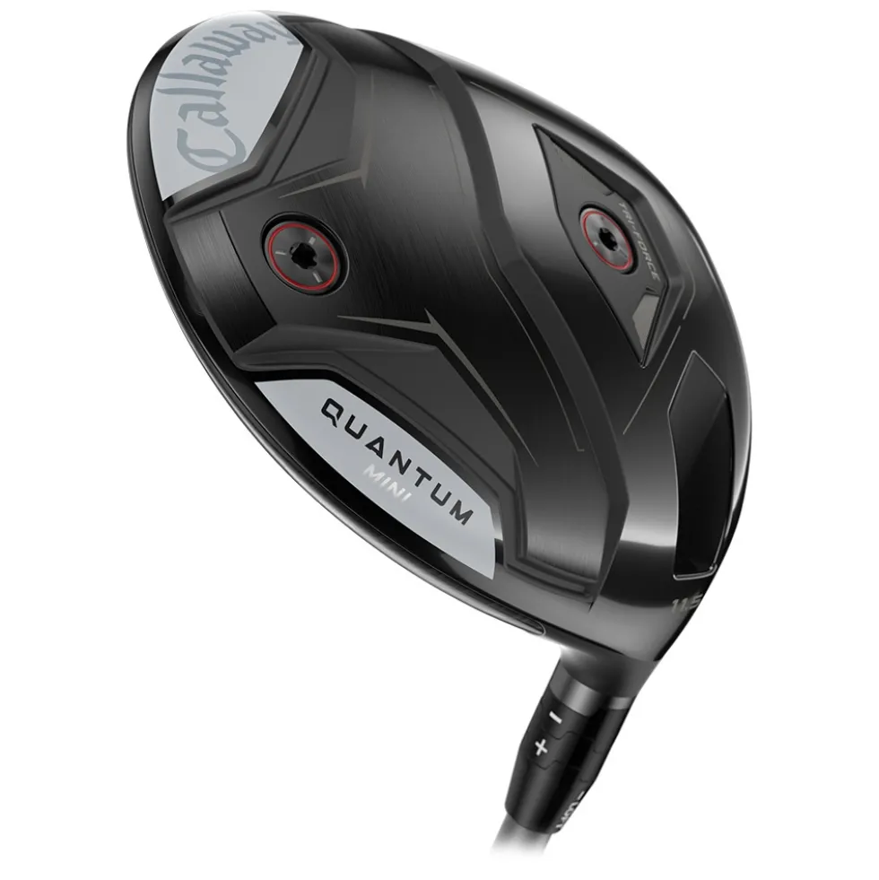 Quantum Mini Driver
